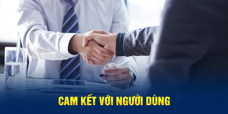 Cam kết với người dùng