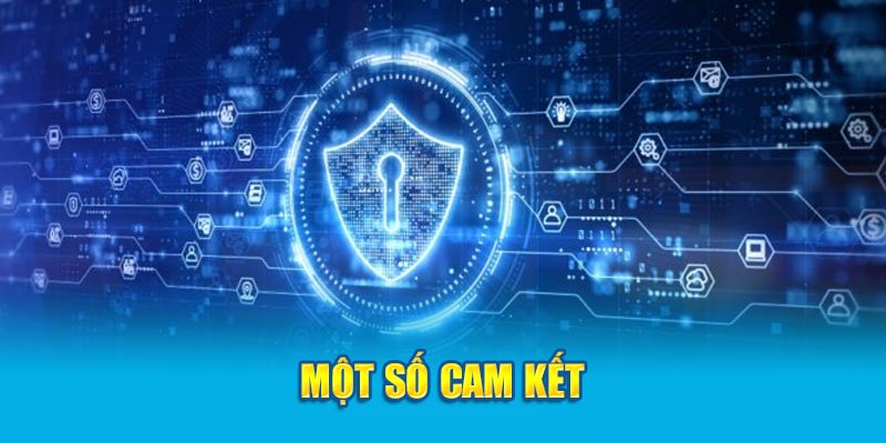 Một số cam kết 