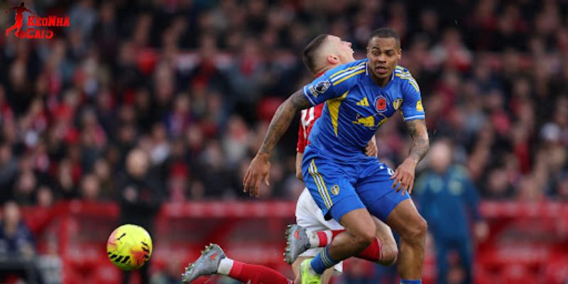 Leeds vs Nottingham đều đang có những khó khăn riêng Leeds vs Nottingham đều đang có những khó khăn riêng