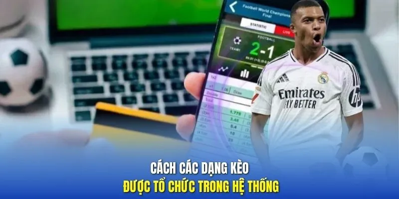 Cách các dạng kèo được tổ chức trong hệ thống